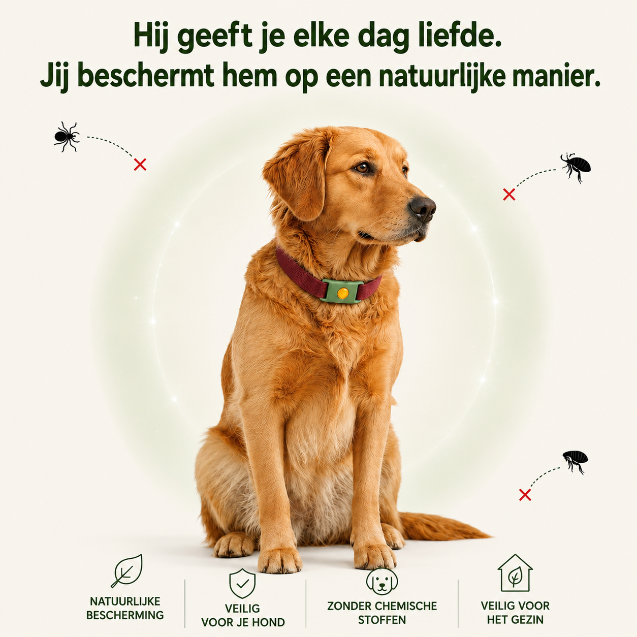 Canino hero visual met hond en kat, natuurlijke bescherming en veilige gezinspositionering