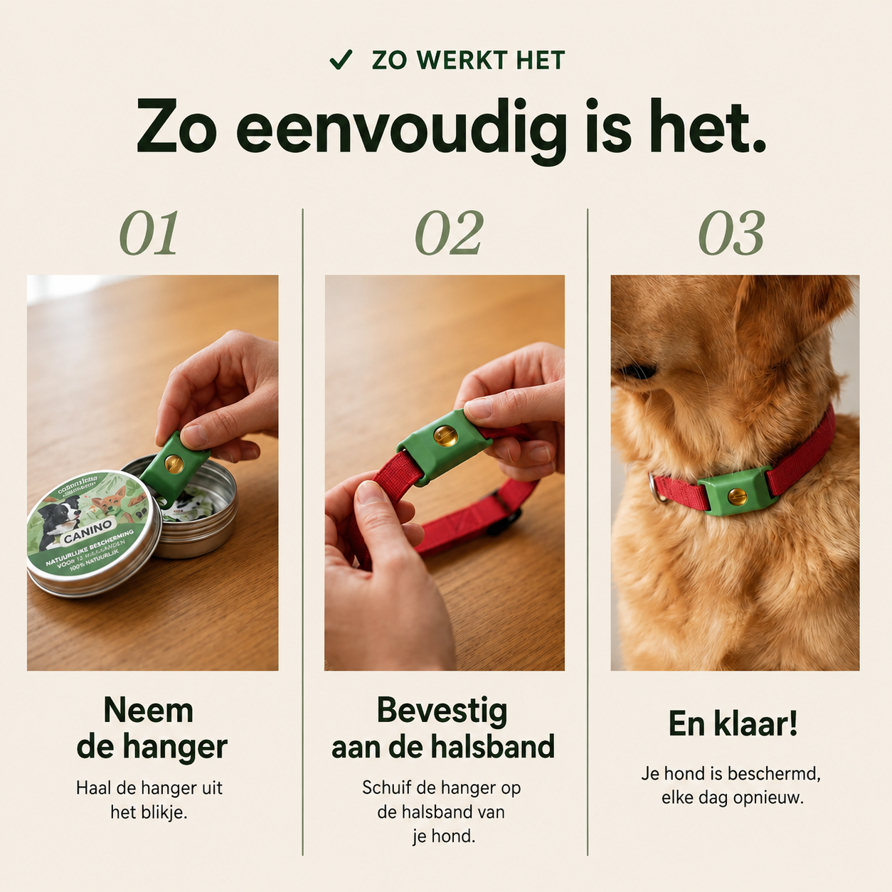 Canino infographic met drie stappen: neem de hanger, bevestig aan de halsband en klaar