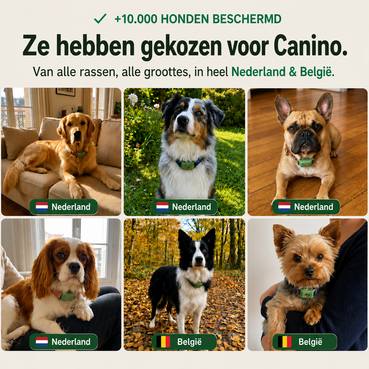 Social proof visual van Canino met honden en katten uit Nederland en België
